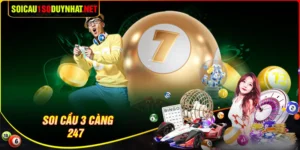 Soi cầu 3 càng 247 - Bí kíp săn bộ số cực đẹp giúp bạn trúng lớn